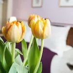 Elch Hotel Nürnberg