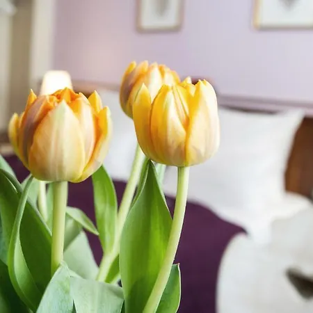 Elch Ξενοδοχείο Νυρεμβέργη